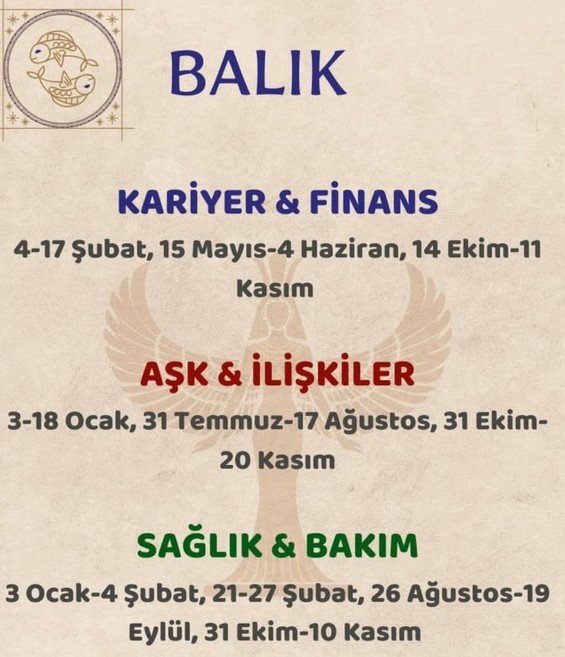 yıllık19 (13).jpg