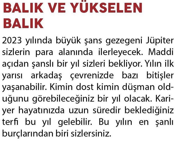 yıllık22 (14).jpg