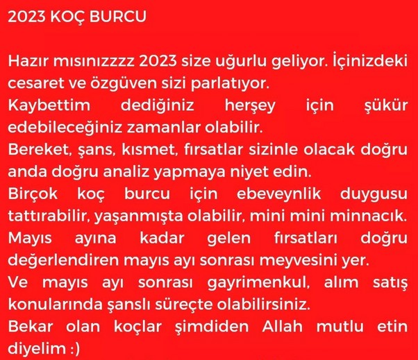 yıllık24 (2).jpg