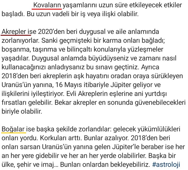 yıllık25 (2).jpg