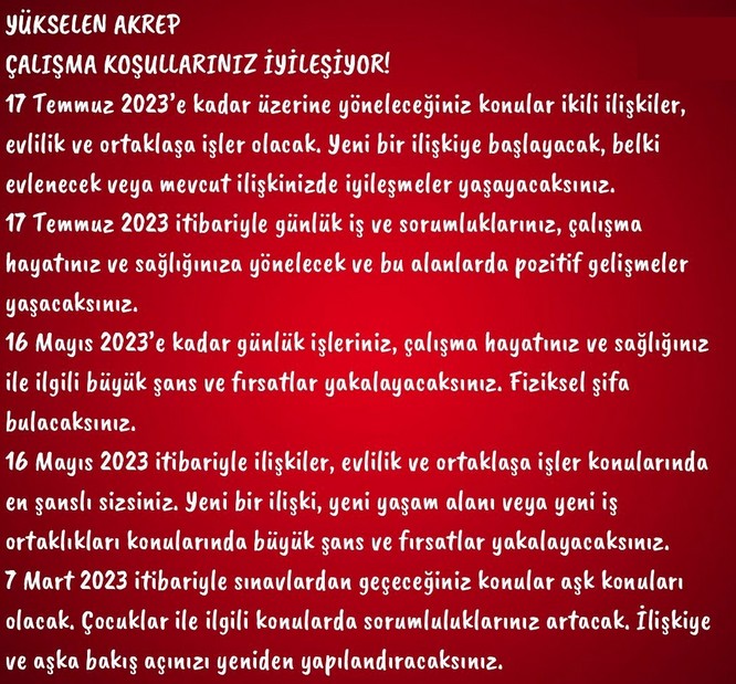 yıllık27 (9).jpg