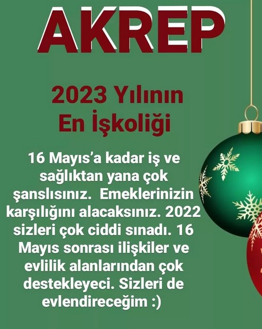 yıllık28 (8).jpg