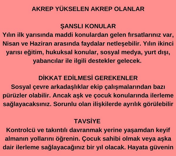 yıllık3 (9).jpg