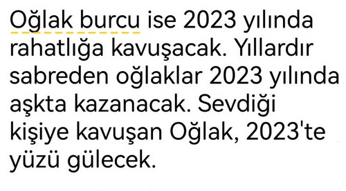 yıllık32 (4).jpg