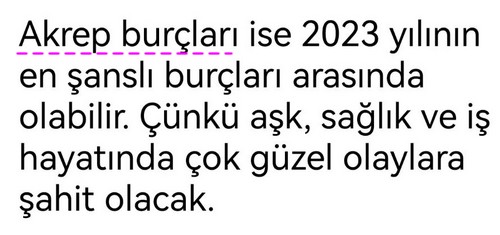 yıllık32 (5).jpg