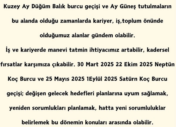 yıllık4 (14).jpg