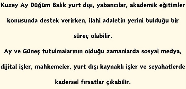 yıllık4 (19).jpg