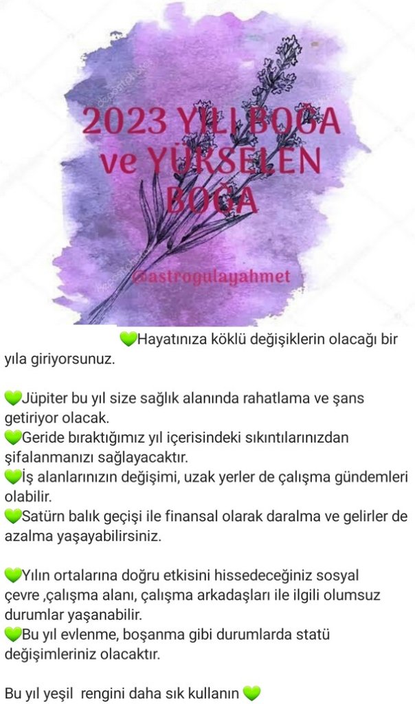 yıllık43 (2).jpg