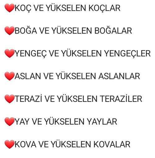 yıllık49 (2).jpg