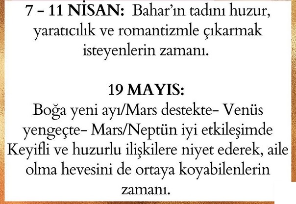 yıllık65 (3).jpg