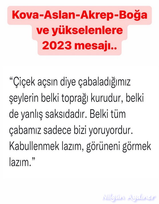 yıllık7.jpg