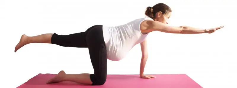 Yoga-in-pregnancy-cat-stretch.webp