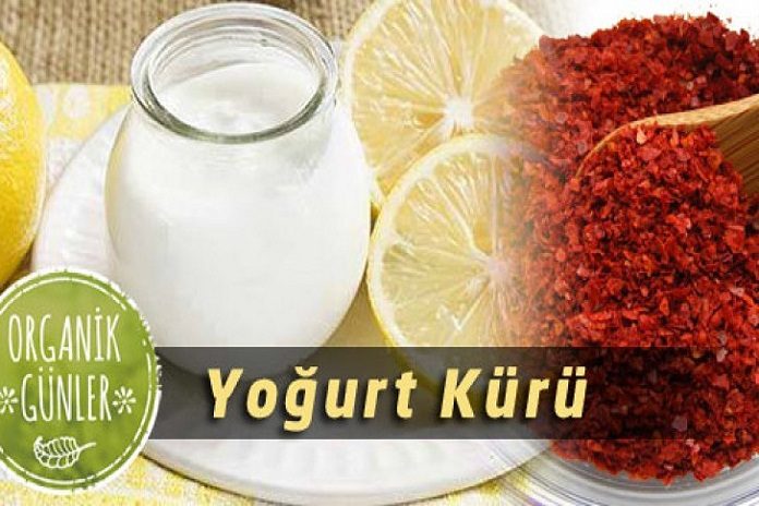 yogurt-kuru-728x410-1-696x464.jpg