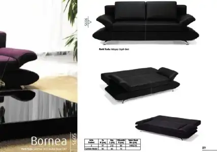 $BORNEO  KOLTUK 1.webp