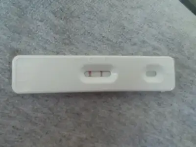 DSCN2368.webp