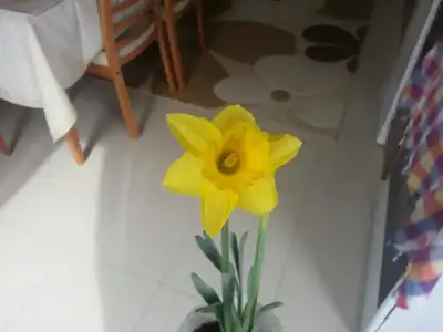 20150321_094305.webp