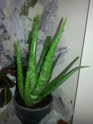 20140914_160714.webp