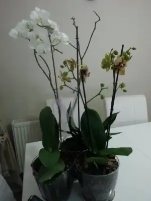20150309_212557.webp