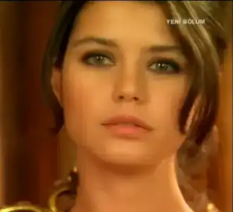 $berensaat.webp