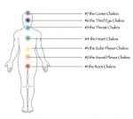 7-chakras.jpg