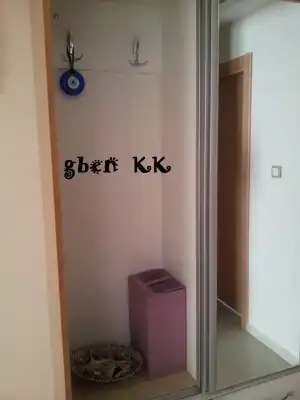 13.webp