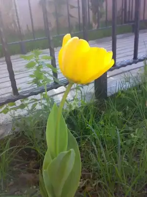 $04042010899.webp