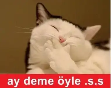 565347.webp