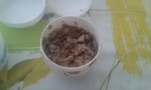20150728_144530.webp