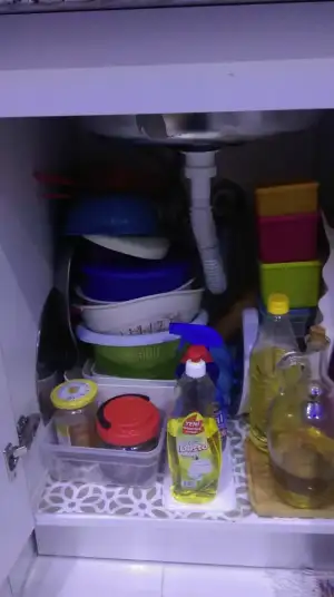 IMAG0682.webp