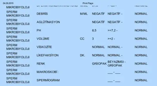 SPERM2.webp