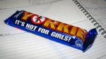 $yorkie-not-for-girls-thm1.jpg