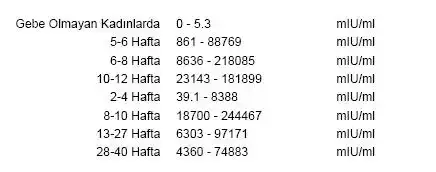adsız.webp
