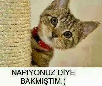 napıyonuz.webp