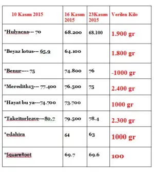 25 kasım.webp