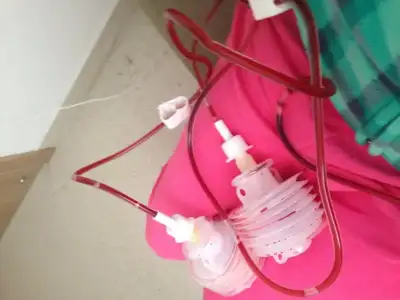 image.webp