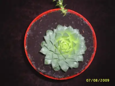 $PIC_0029.webp