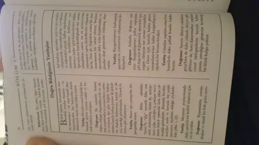 20160104_192806.webp