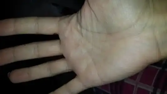 1453457380317845358025.webp