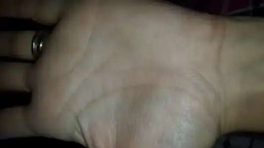 1453457633803634902044.webp