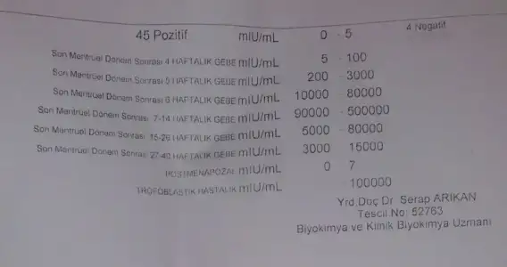 IMAG1385_1.webp