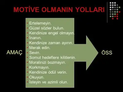 slide_13.webp