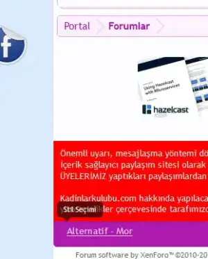 stilsecimi.webp