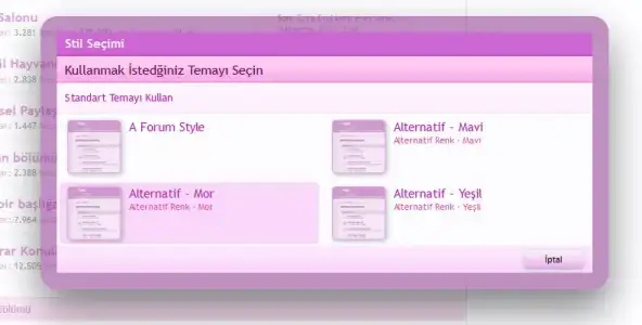 stilsecimi2.webp