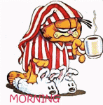 $good_morning_garfield_1237639037.gif