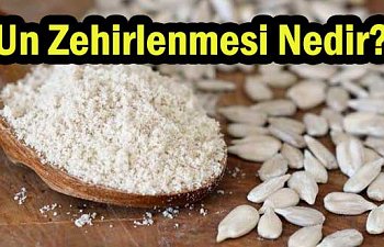 Un Zehirlenmesi Nedir