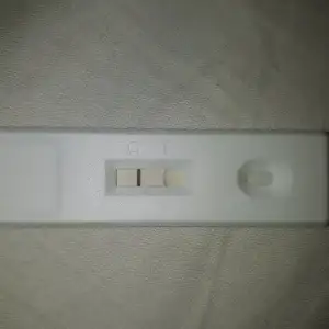1502282011954896275954.webp