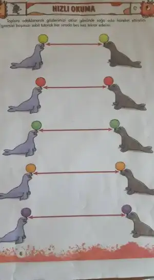 22448398_10155777365338252_4678894218237753929_n.webp