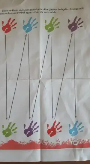 22366776_10155777364868252_4368506139691869936_n.webp