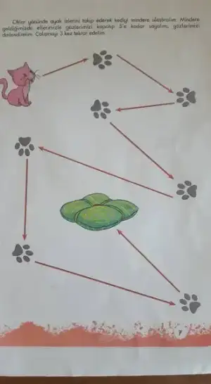 22449690_10155777364573252_6109382515859268404_n.webp