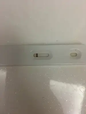 CC08F386-BE03-4F0C-B529-351C5C0C4E5F.webp